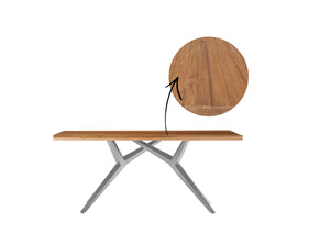 Tisch 220x100 cm