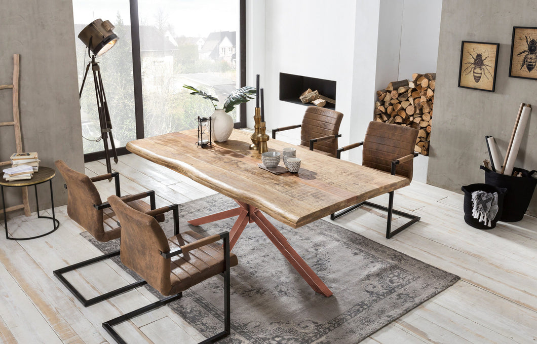 Tisch 220x100 cm